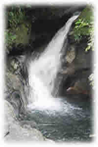 Cachoeira - Passeios Ecológicos - Hotel Mar